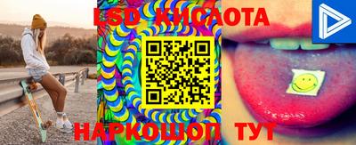 дмт Сланцы