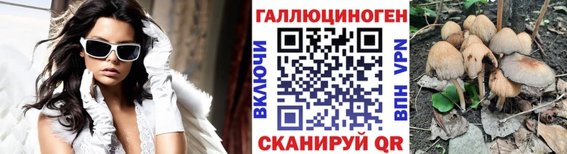 Псилоцибиновые грибы Psilocybine cubensis  MEGA онион  Сердобск  купить наркоту 